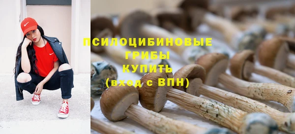 mix Армянск