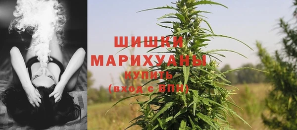винт Арсеньев