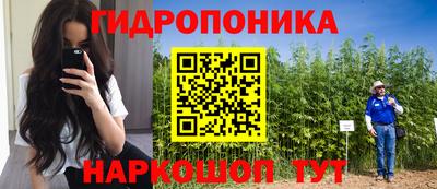 круглые Лесосибирск