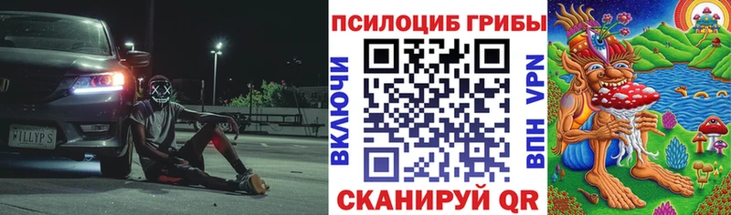 Галлюциногенные грибы прущие грибы darknet какой сайт Сыктывкар