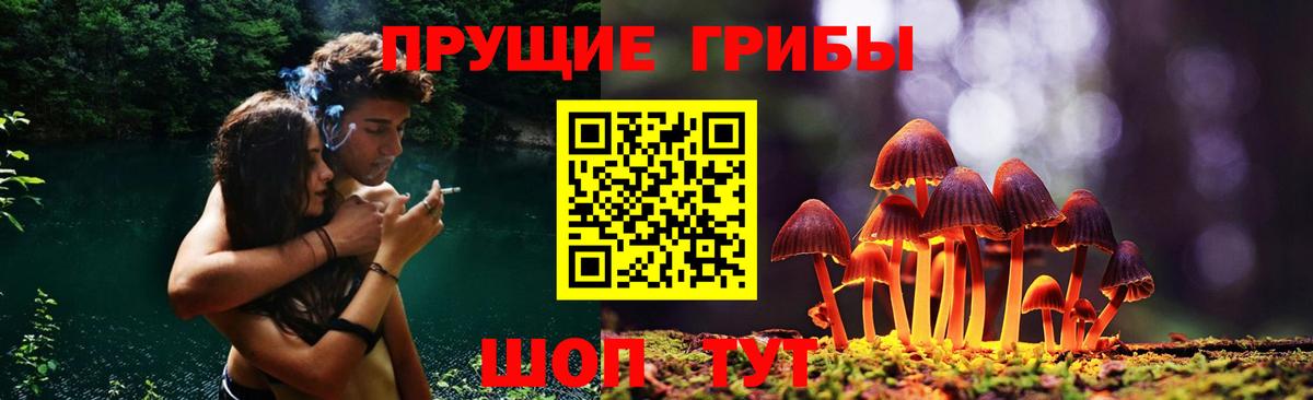 Сыктывкар  Галлюциногенные грибы MAGIC MUSHROOMS  Вход с VPN 