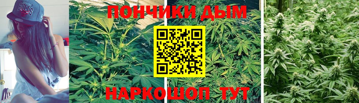 Бошки Шишки тримм Сыктывкар